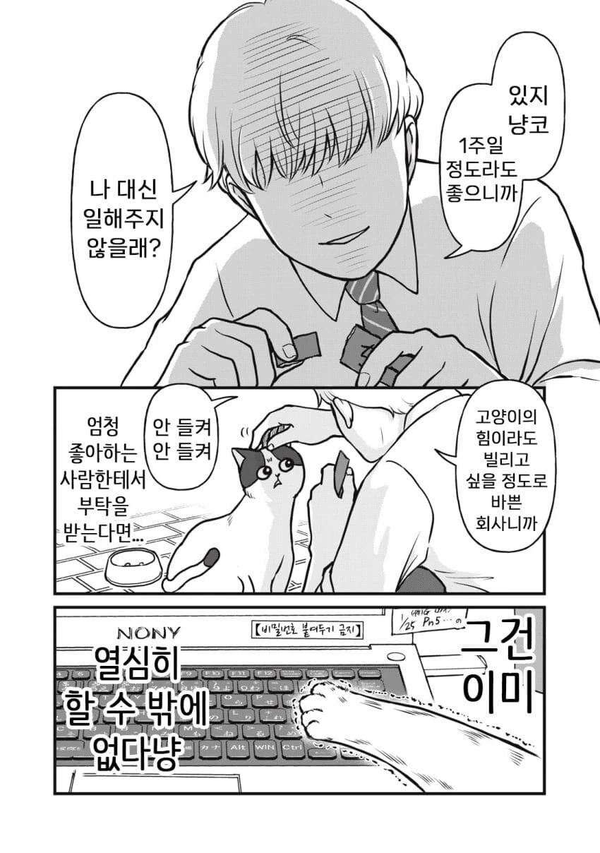 고양이가 주인대신 일하는.MABGA