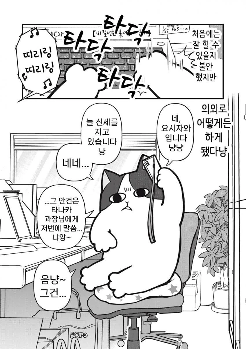 고양이가 주인대신 일하는.MABGA - 이미지 2
