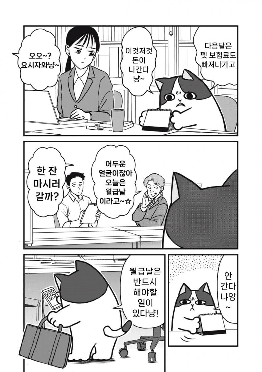 고양이가 주인대신 일하는.MABGA - 이미지 6