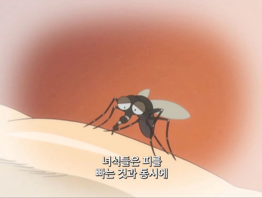 은혼) 모기가 전혀 불쌍하지 않은 이유 jpg. - 이미지 7