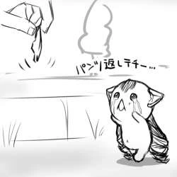 참피) 나비씨를 따라가는 테치~ - 이미지 3