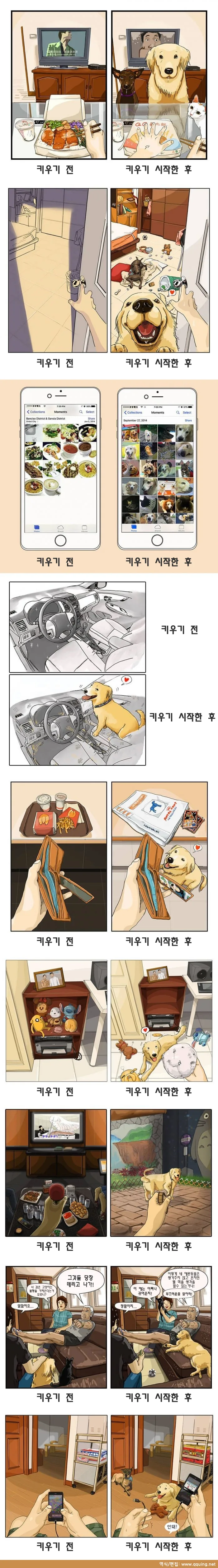애완동물 키우기 전과 후 manhwa