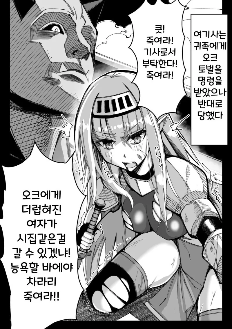 오크에게 패배한 여기사 만화