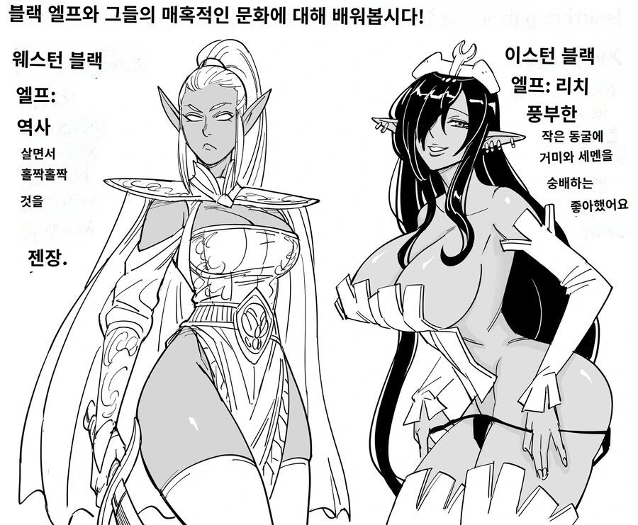 북미에서도 다크엘프 계보로 당당히 인정받는 그 캐릭터