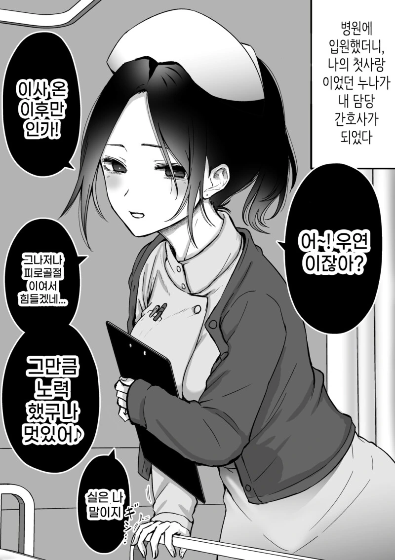 칫사랑 누나랑 만나는 만화