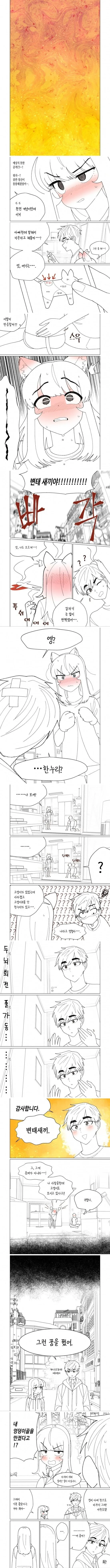 소꿉친구가 고양이가 되어버리는 만화 - 이미지 2