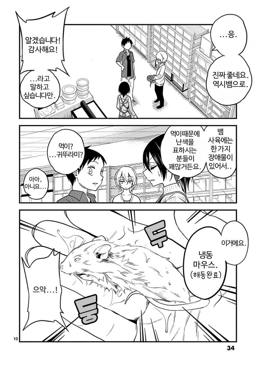 파충류를 기를때 사람들이 제일 어려워 하는 것.manhwa
