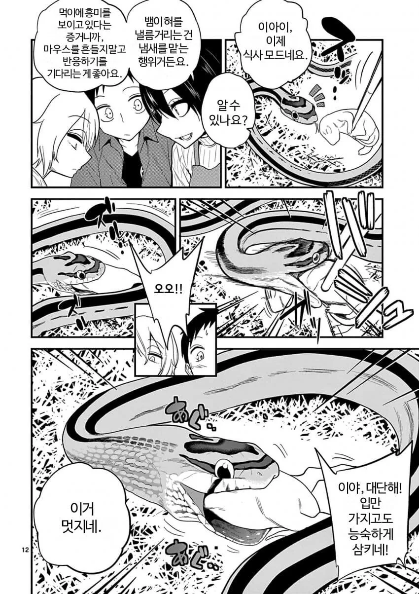 파충류를 기를때 사람들이 제일 어려워 하는 것.manhwa - 이미지 3