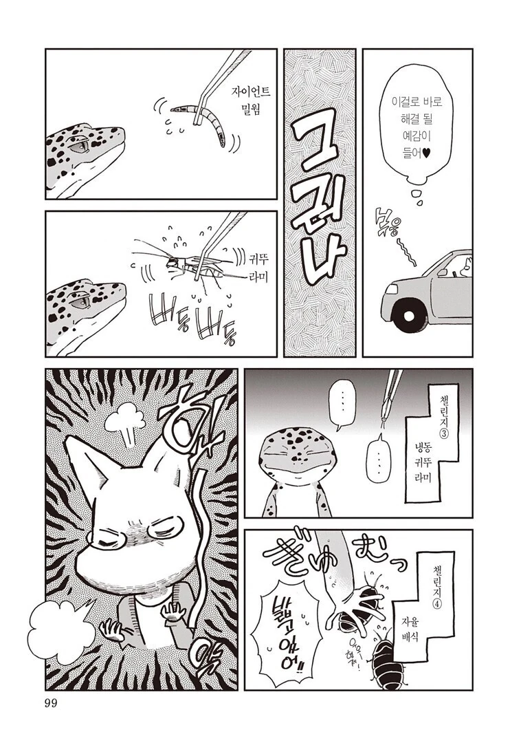 파충류를 기를때 사람들이 제일 어려워 하는 것.manhwa - 이미지 8