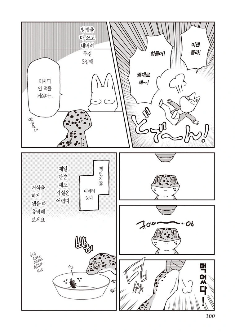 파충류를 기를때 사람들이 제일 어려워 하는 것.manhwa - 이미지 9