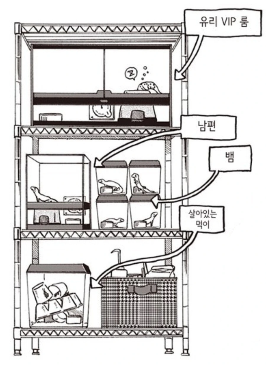 파충류를 기를때 사람들이 제일 어려워 하는 것.manhwa - 이미지 10