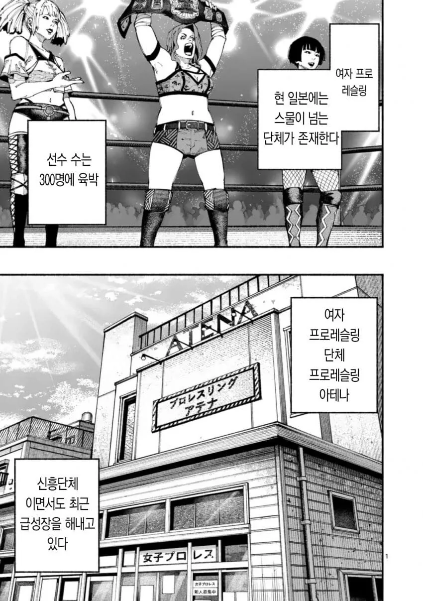 프로레슬러 VS 종합격투가 여자애가 싸우는 .manwha