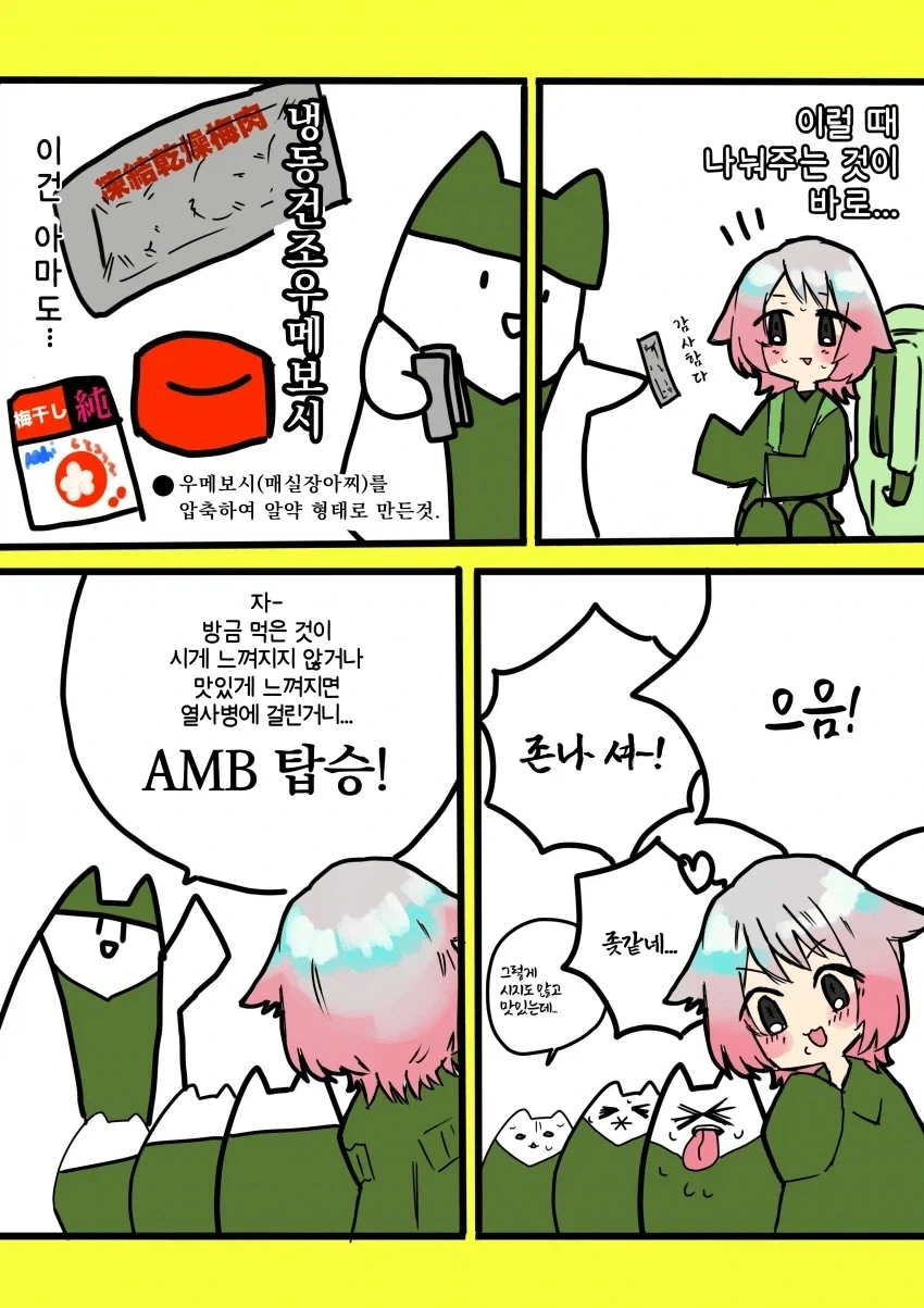 행군중 열사병 체크하는 만화 - 이미지 2