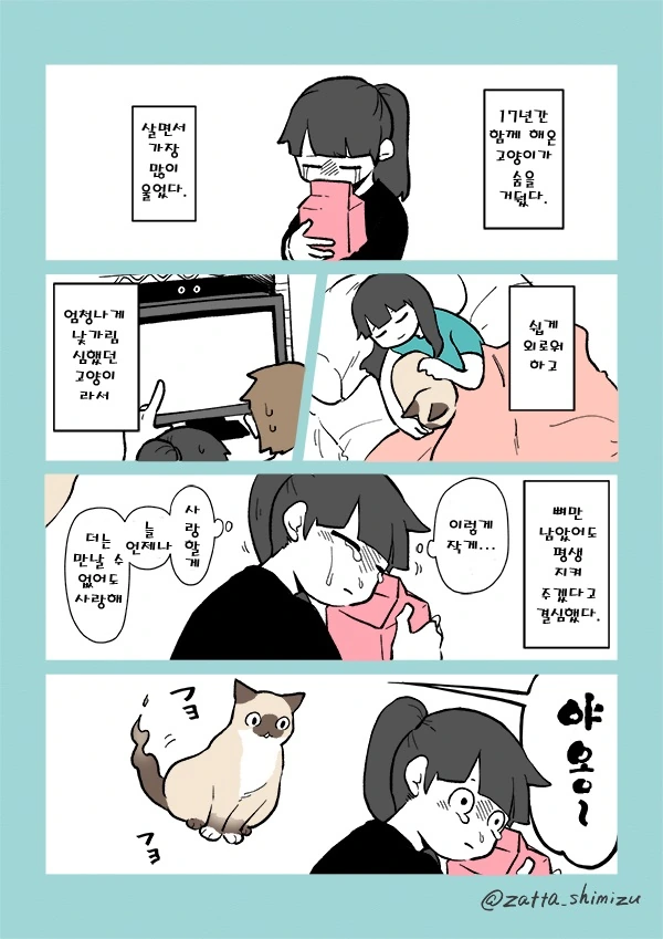 17년을 함께한 고앵이가 무지개 다리를 건너버린 만화