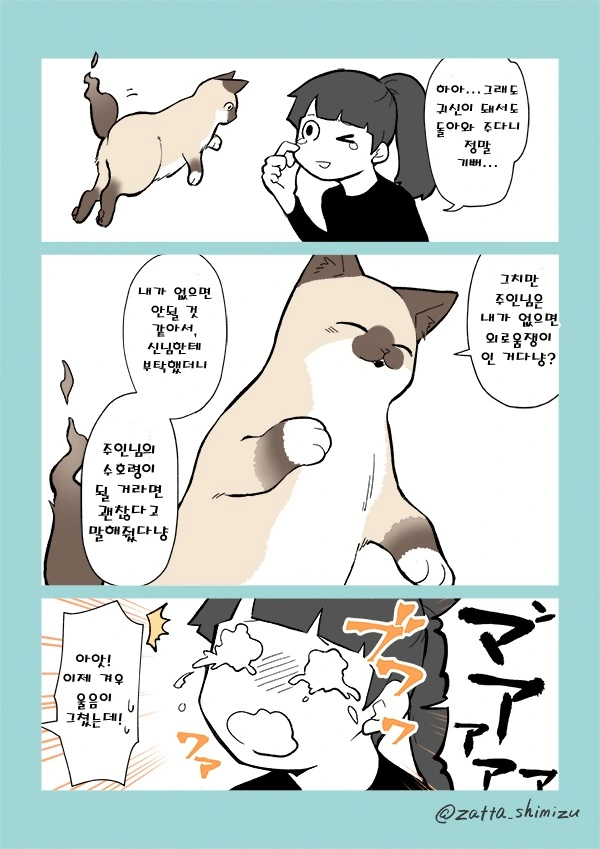 17년을 함께한 고앵이가 무지개 다리를 건너버린 만화 - 이미지 3