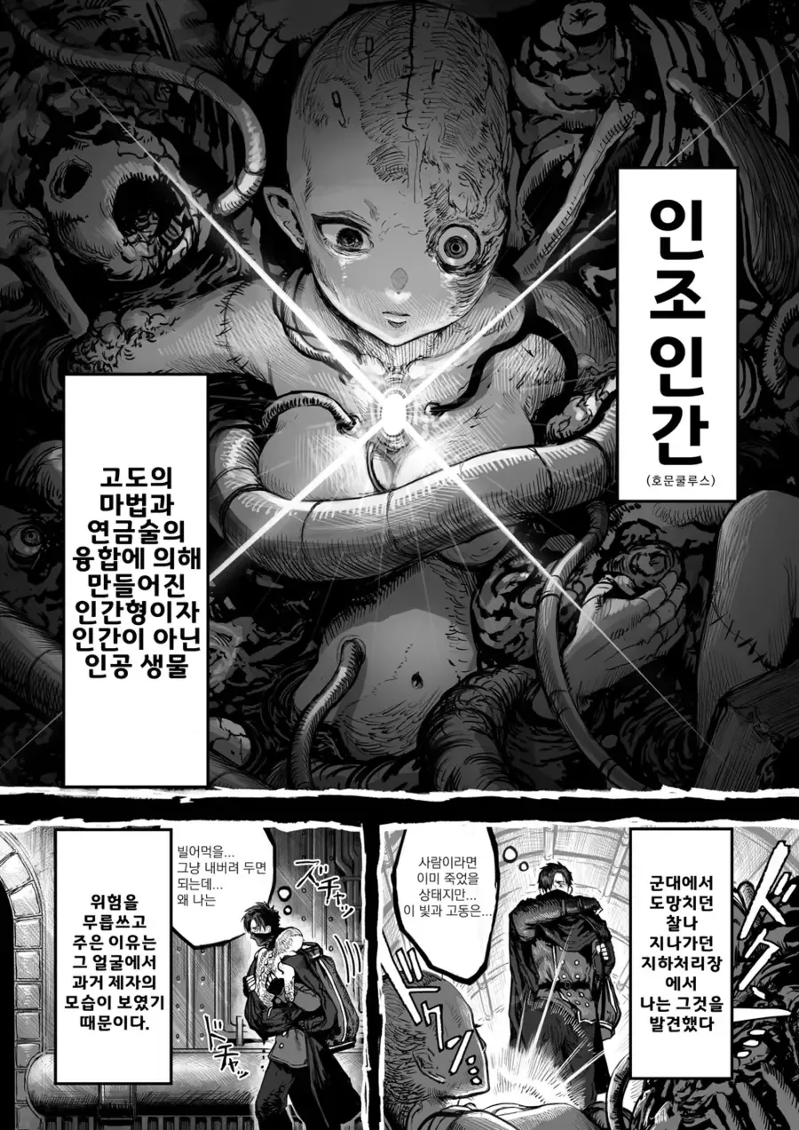 버려진 호문클루스 만화