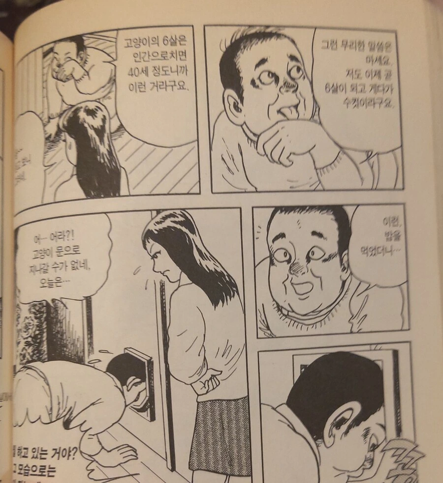 주인님을 위해 인간이 되어 돌아온 고양이 만화.manga - 이미지 3