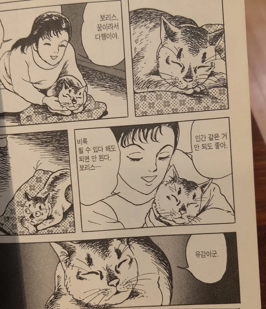 주인님을 위해 인간이 되어 돌아온 고양이 만화.manga - 이미지 4