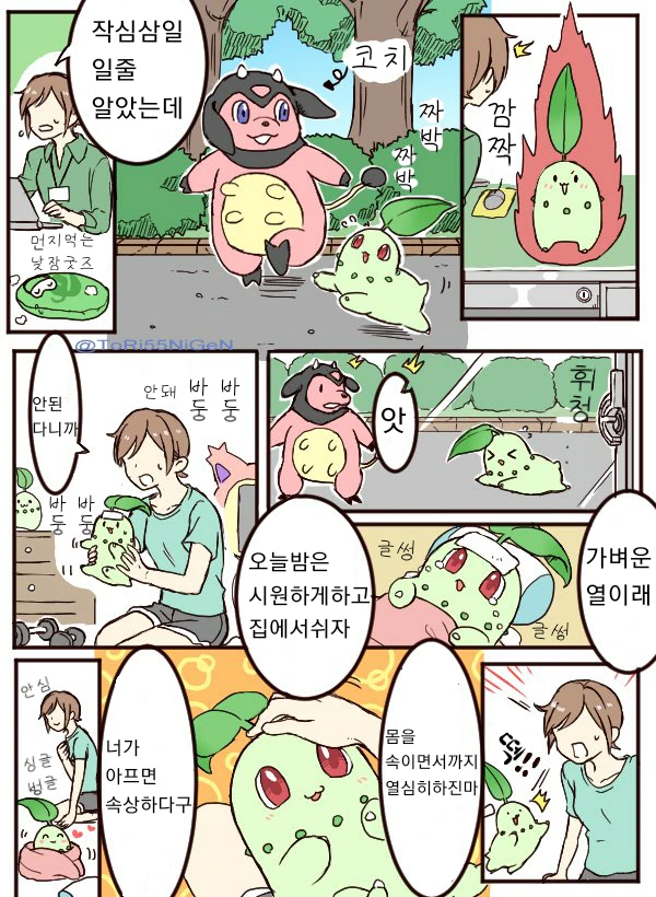 귀여운 치코리타 만화.manhwa - 이미지 2