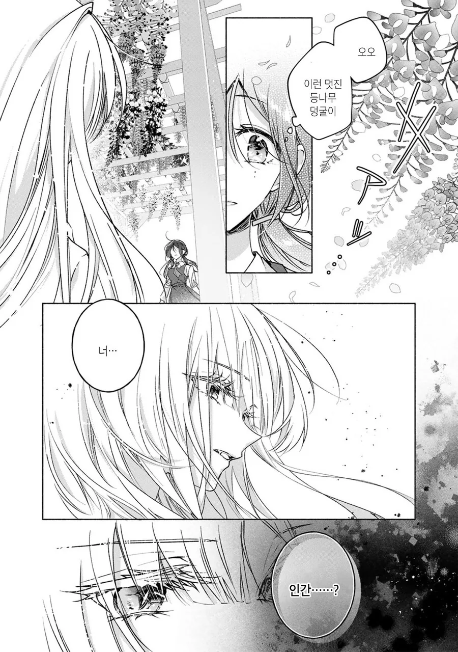 흡혈귀 학교에 다니는 인간 manhwa - 이미지 5