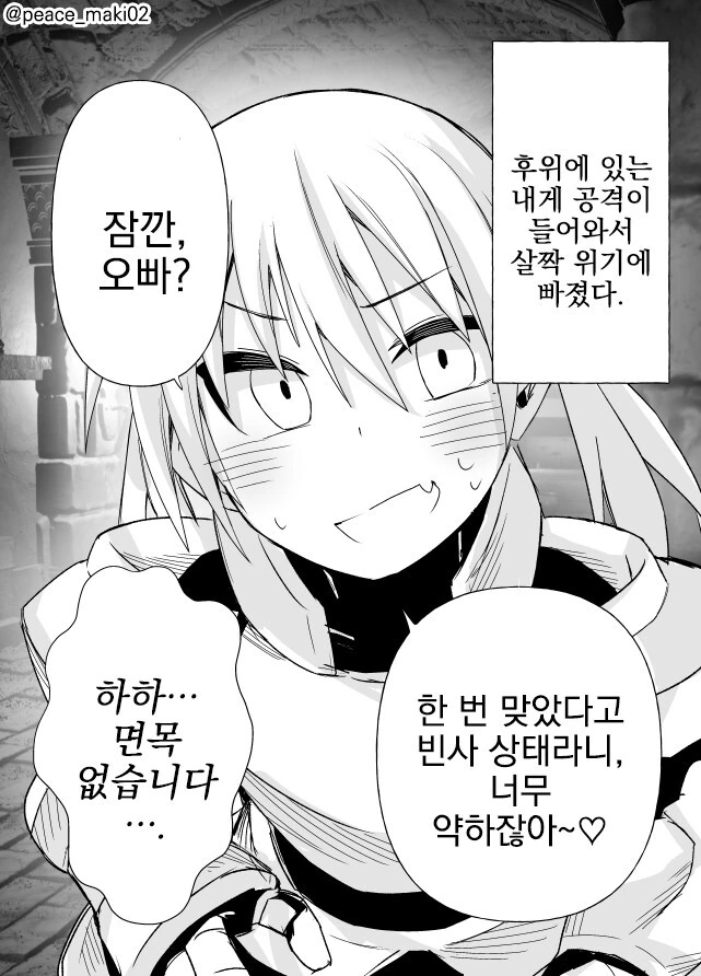 ㅁㅅㄱㅋ 팔라딘 만화