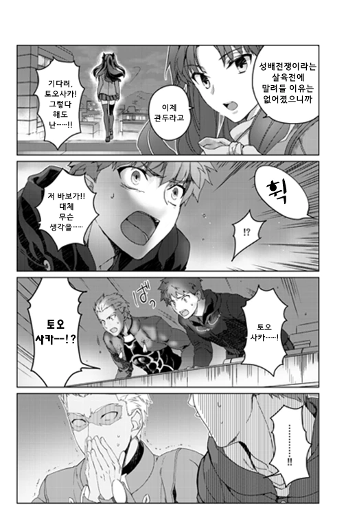fate)부감풍경.manga