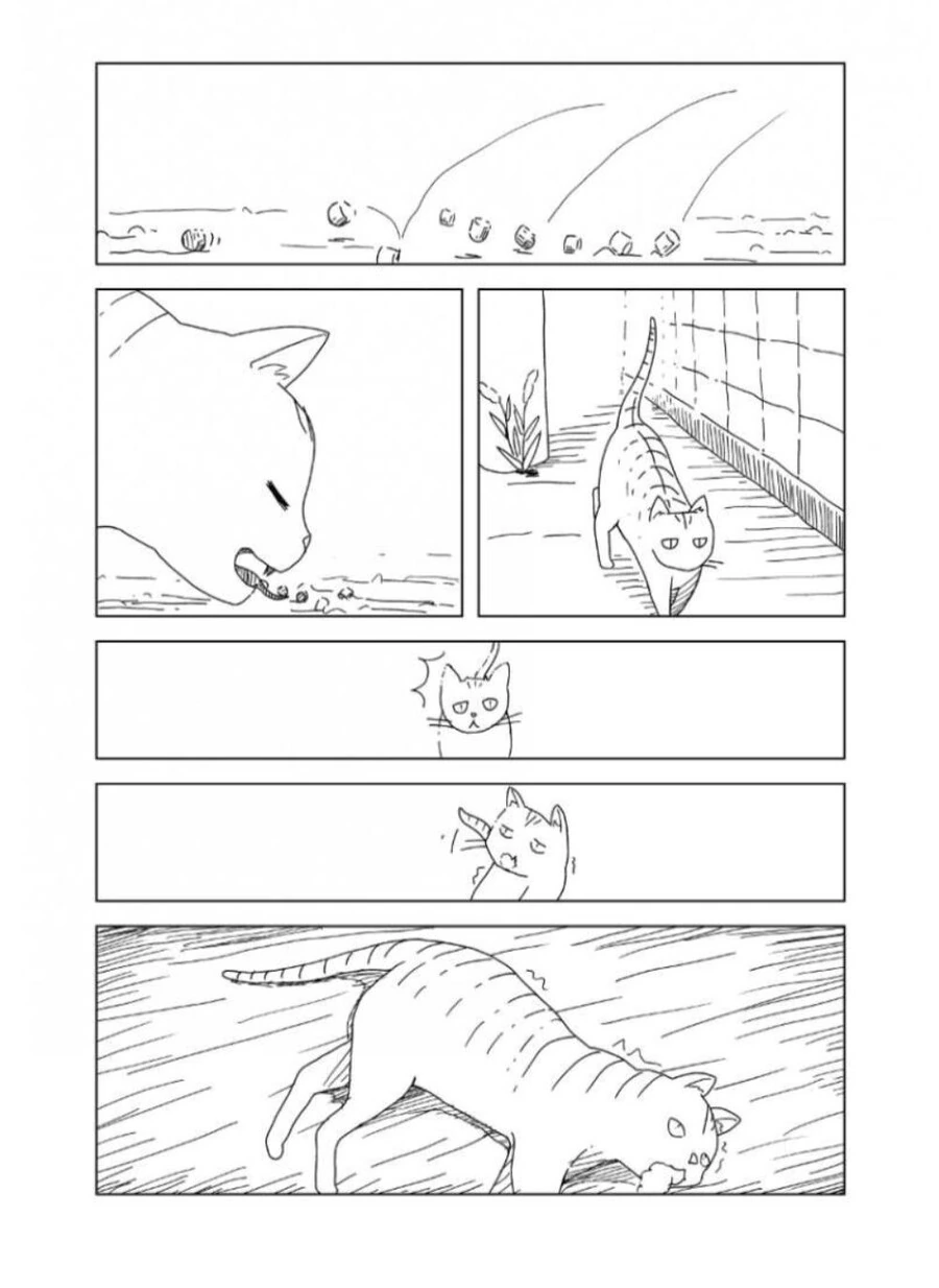 여고생과 고양이.manhwa - 이미지 4