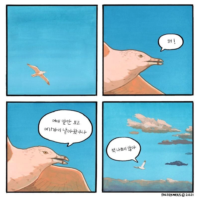 여러가지 새들 일상 manga