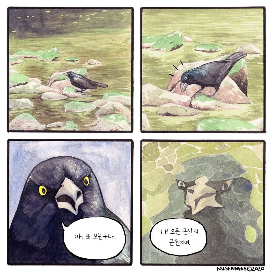 여러가지 새들 일상 manga - 이미지 2