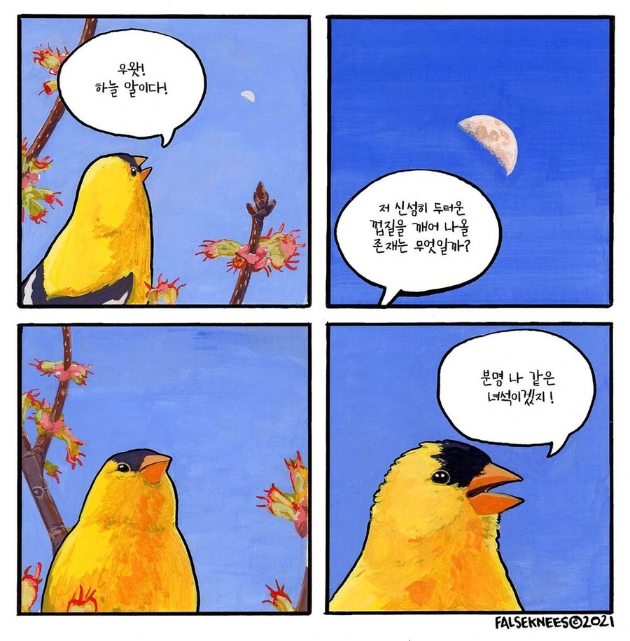 여러가지 새들 일상 manga - 이미지 3
