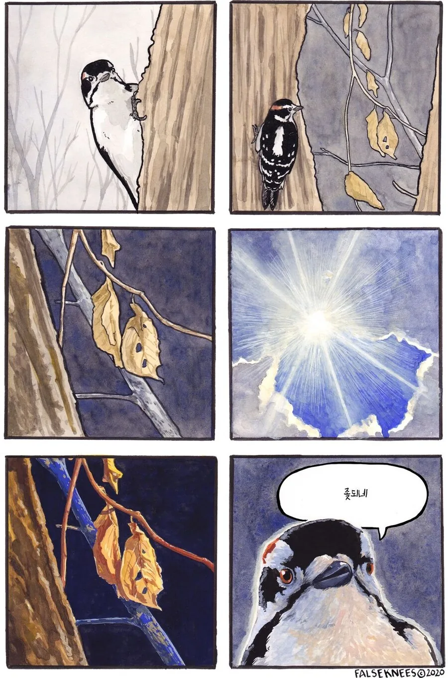 여러가지 새들 일상 manga - 이미지 4