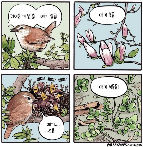 여러가지 새들 일상 manga - 이미지 5
