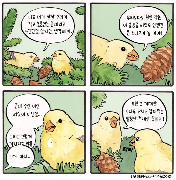 여러가지 새들 일상 manga - 이미지 7
