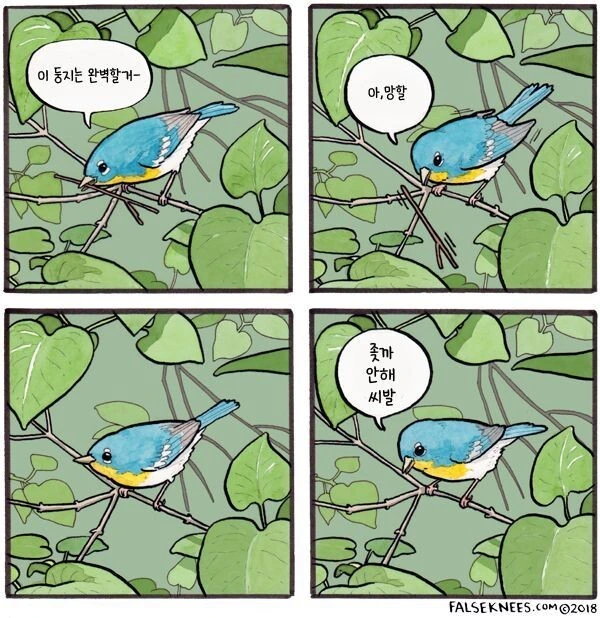 여러가지 새들 일상 manga - 이미지 9