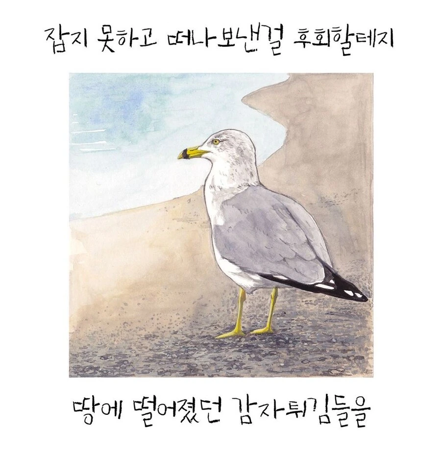여러가지 새들 일상 manga - 이미지 11