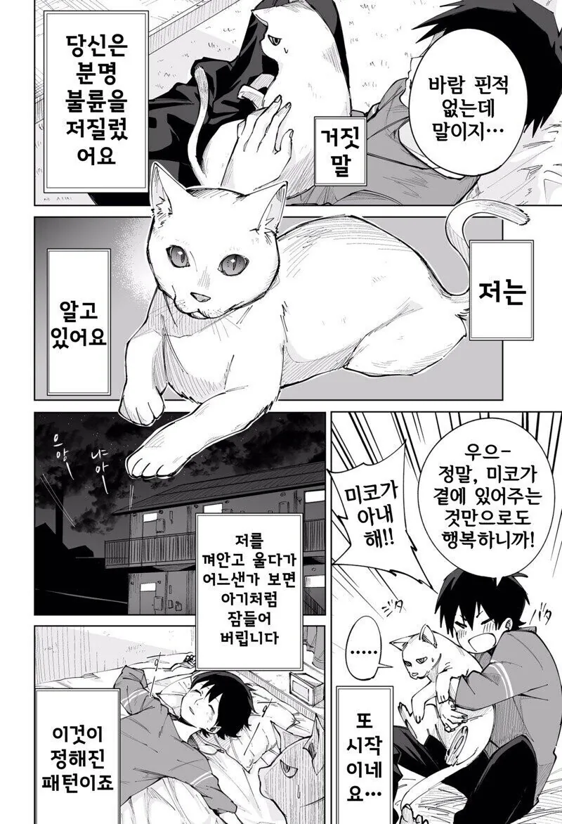 고양이한테 아내 하라고 말하는 불륜남.manhwa - 이미지 2