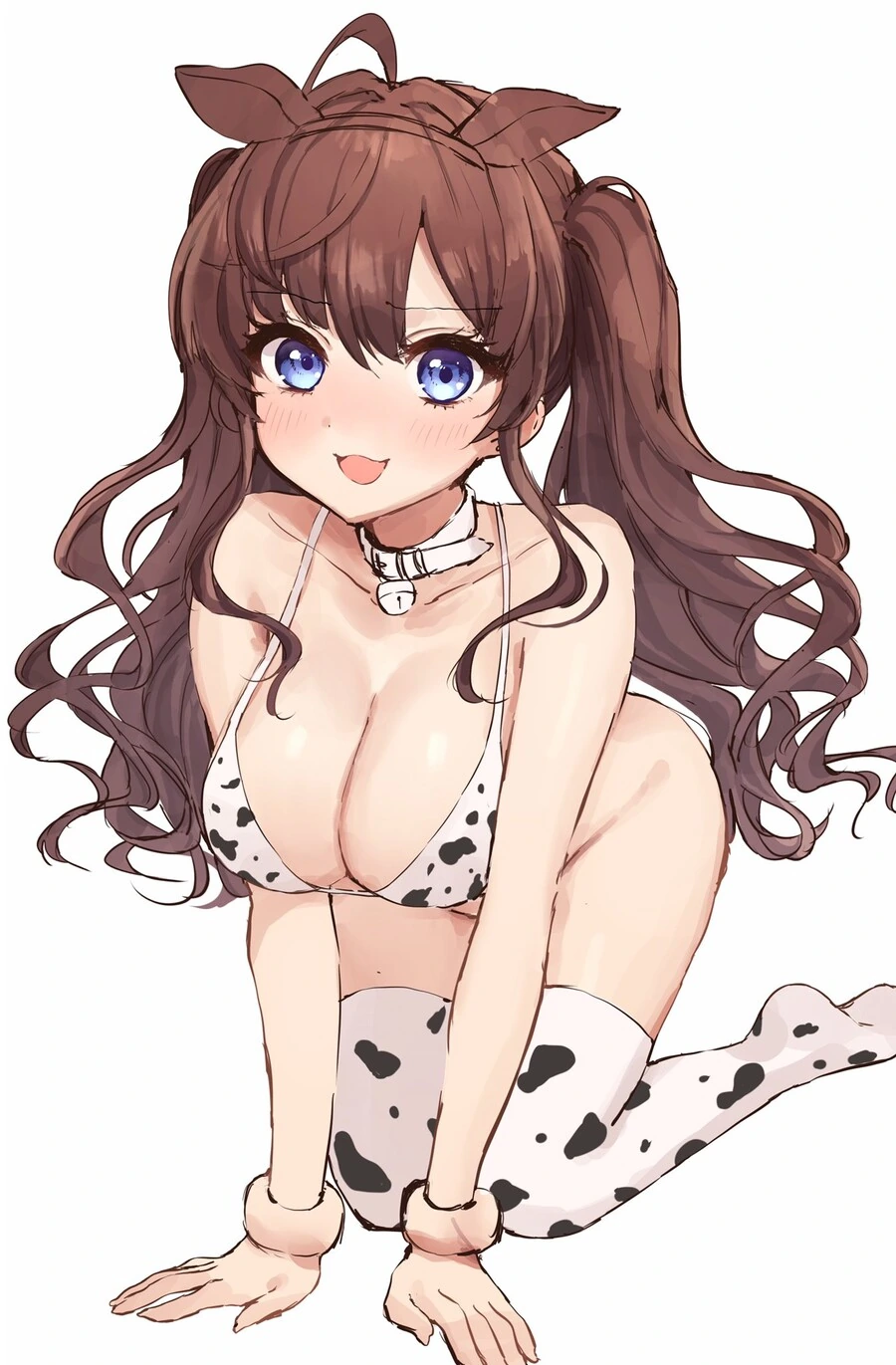 @) 젖소 시키