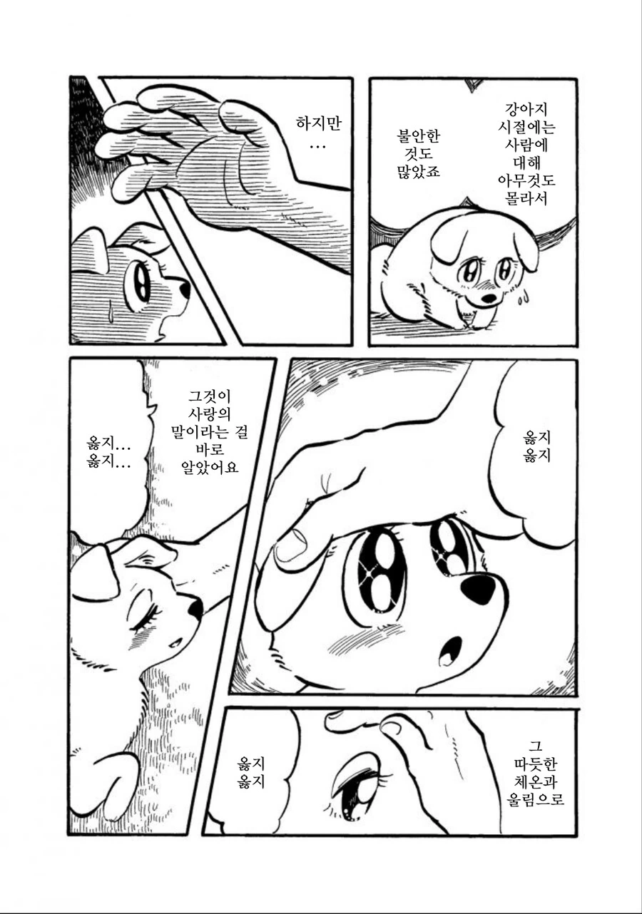 강아지가 주인을 너무 좋아하는 만화 - 이미지 18