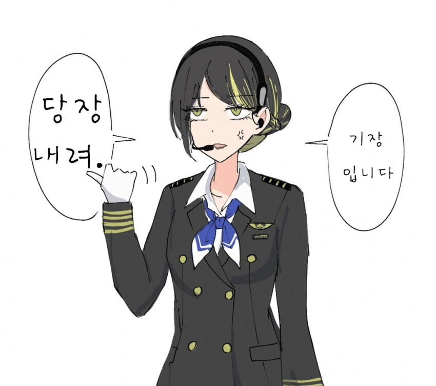 [@] 이카루가 항공