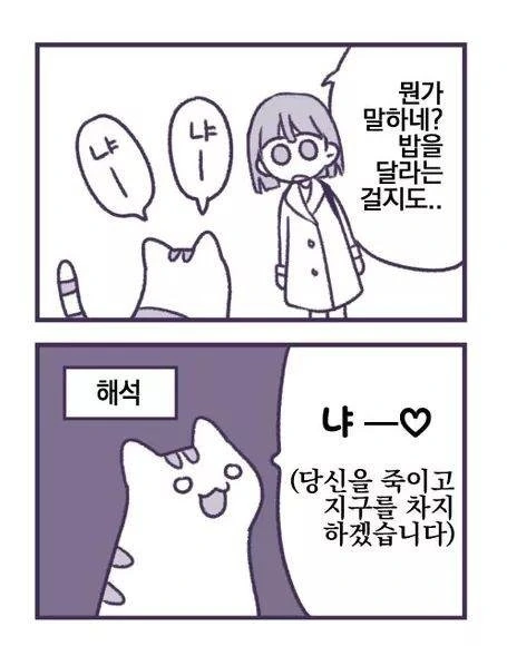 인간을 몰살시키려는 고양이 만화.manhwa - 이미지 2