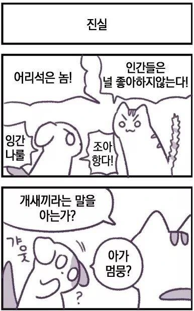 인간을 몰살시키려는 고양이 만화.manhwa - 이미지 9