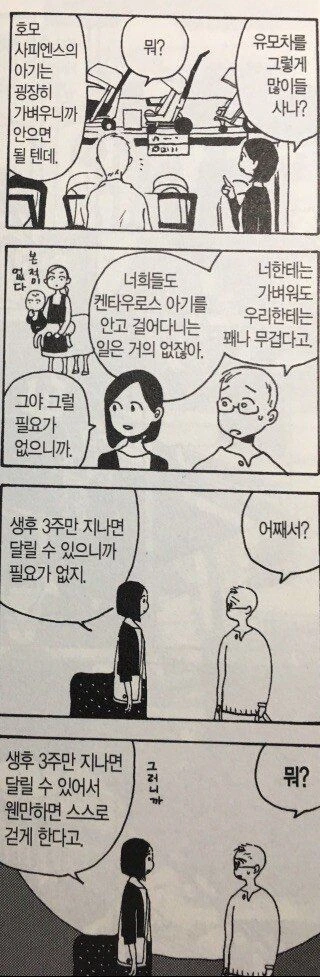 켄타우로스 아내와 결혼한 일상 만화 - 이미지 5