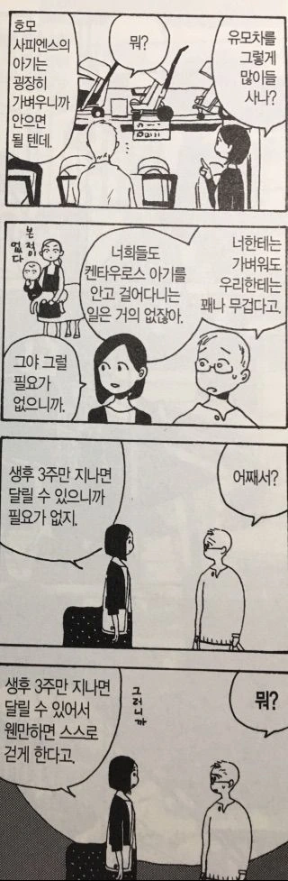 켄타우로스 아내와 결혼한 일상 만화 - 이미지 10