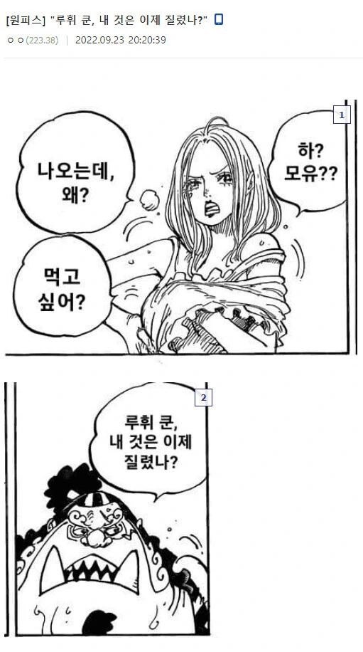 원피스) 원버갤에서 징베 이미지 (약혐 - 이미지 3