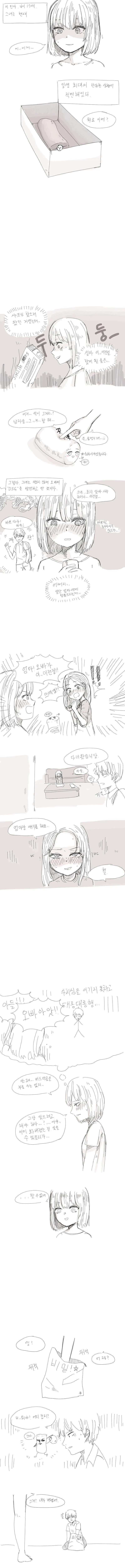 오빠의 ㅇㄴ홀 만화.