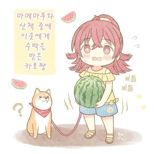 @) 이게 수박이야 카호야