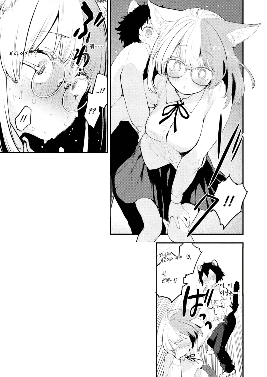 고양이 행성 수인들의 특별한 시기.manhwa - 이미지 5