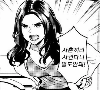 친척끼리 사귀는건 말도 안 된다는 만화 왔다 - 이미지 2