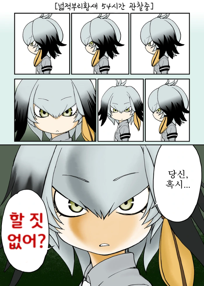 넓적 부리 황새 54시간 관찰하는 만화 ^,^