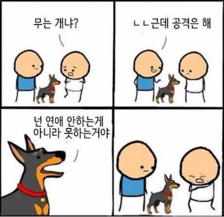 우리집 개는 안물어요
